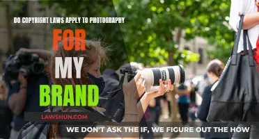 Brand Photography: Understanding Copyright Law Application