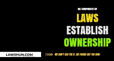 Corporate Bylaws: Defining Ownership and Governance Structures