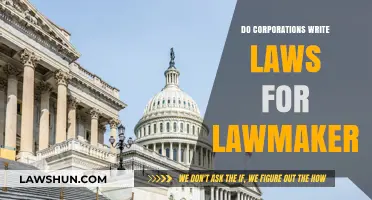 Corporate Influence: Do Businesses Draft Legislation for Lawmakers?