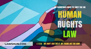 Must Nations Comply with UN Human Rights Law? Exploring Obligations