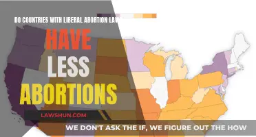 Abortion Laws and Rates: A Global Comparison