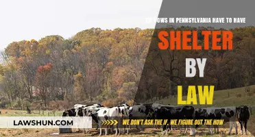 Pennsylvania Cow Shelter Laws: What Farmers Need to Know