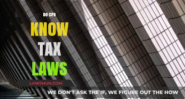 CPA Tax Law: What's the Deal?