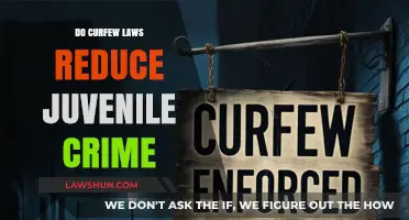 Curfew Laws: Effective Crime Deterrent or Juvenile Injustice?
