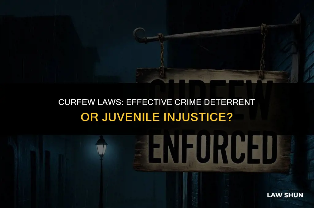 do curfew laws reduce juvenile crime