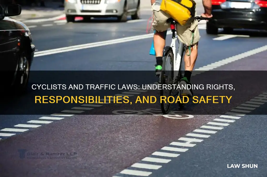 do cyclists need to obey traffic laws