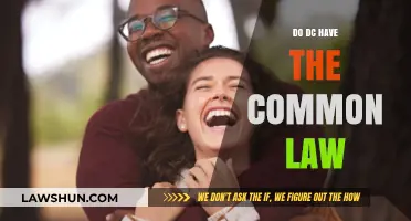 DC's Common Law: A Unique Legal System