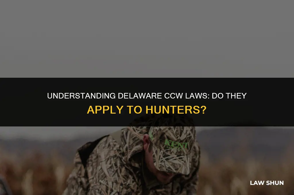 do delaware ccw laws cover hunters