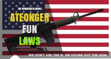 Exploring the Democratic Party's Stance on Gun Control Legislation