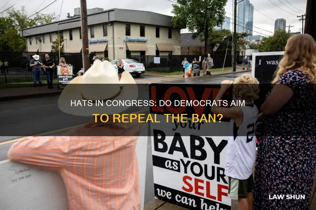 do dems want to repeal a law not allowing hats