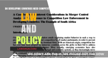 Competition Law in Developing Nations: Essential for Growth or Unnecessary Burden?