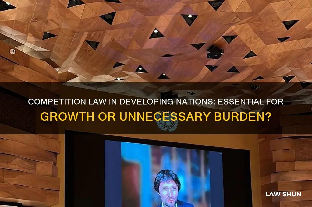 do developing countries need competition law and policy