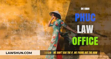 Do Dinh Phuc Law Office: Expert Legal Services in Vietnam