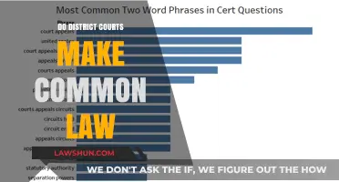 District Courts and Common Law: Who Makes the Rules?