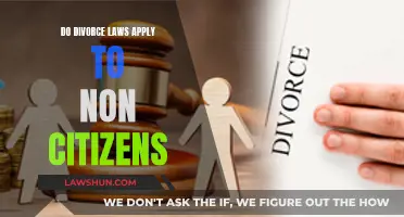 Divorce Laws: Non-Citizen Rights and Legal Protection