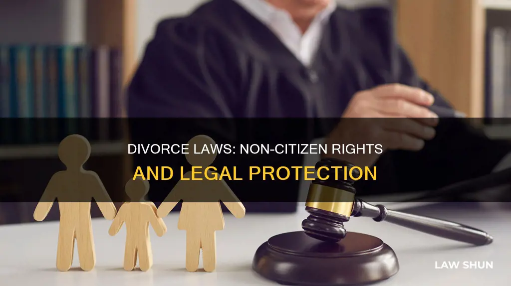 do divorce laws apply to non citizens