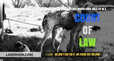 Are Dog Inspections Legally Valid in Court? Expert Analysis
