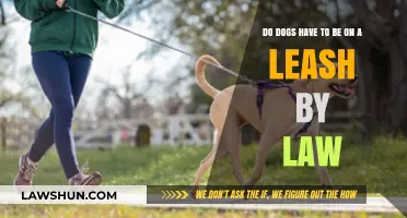 Leash Laws Explained: Are Dogs Required to Be Leashed by Law?