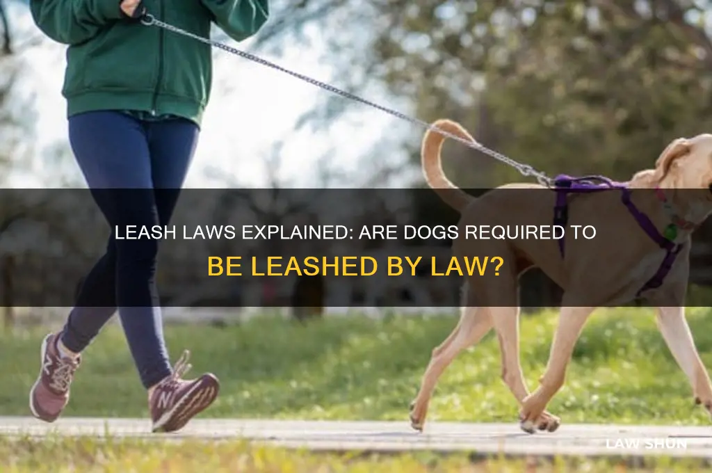 do dogs have to be on a leash by law