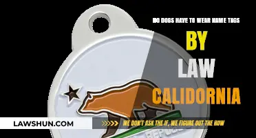 California Law: Are Dog Name Tags Mandatory for Pet Owners?
