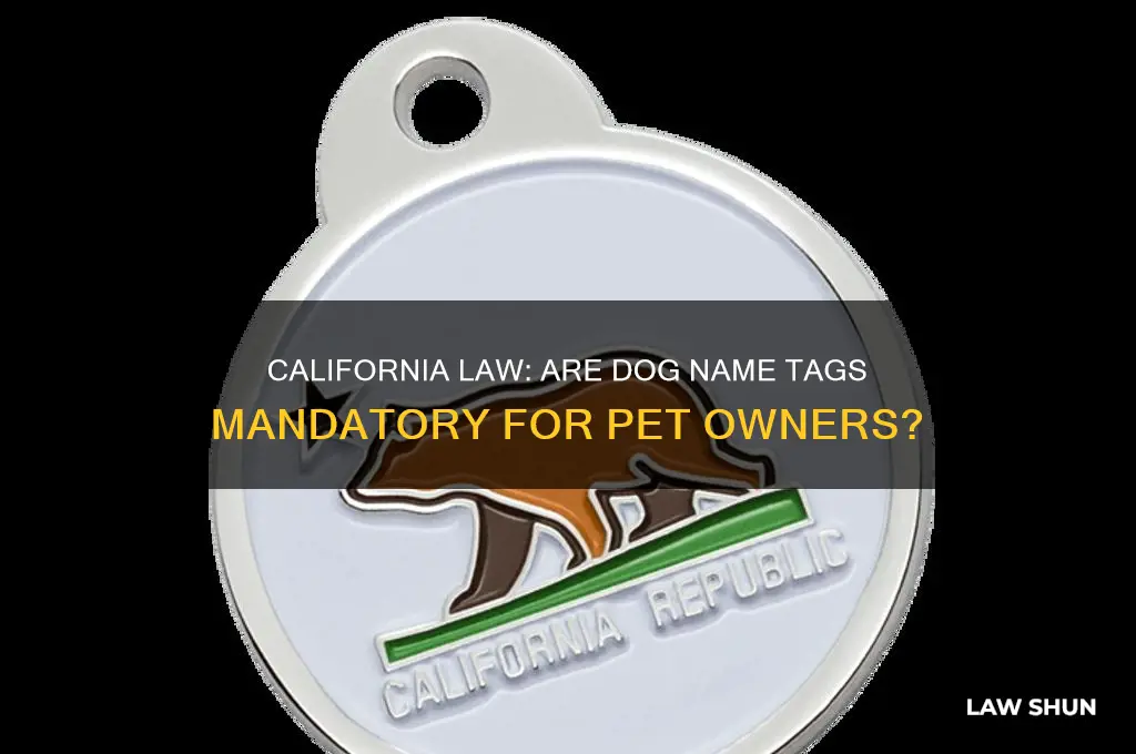 do dogs have to wear name tags by law calidornia