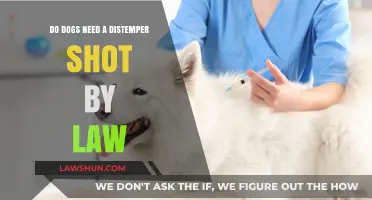Is a Distemper Shot Legally Required for Your Dog?