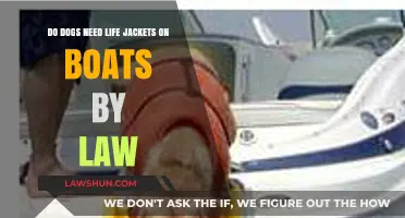 Are Life Jackets Legally Required for Dogs on Boats?