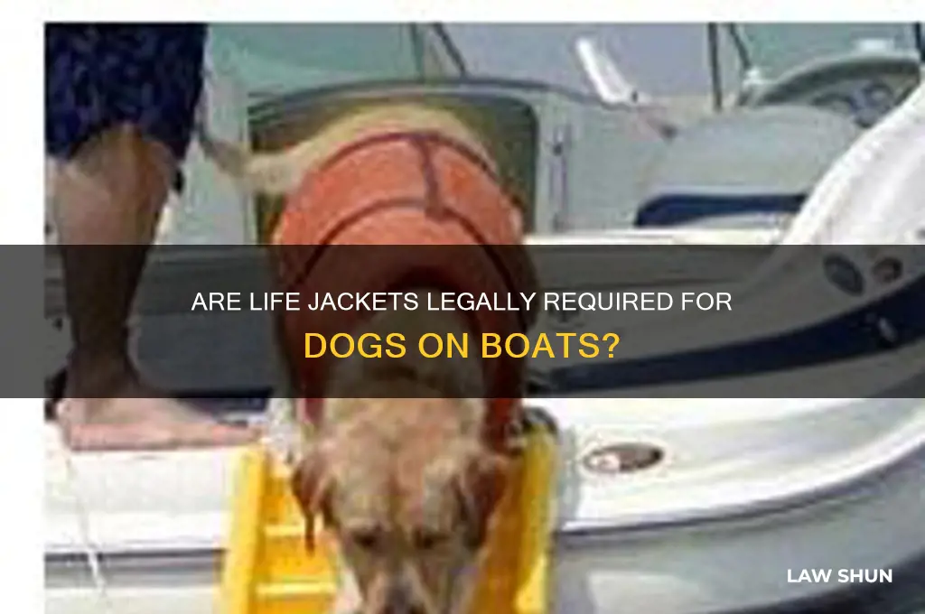 do dogs need life jackets on boats by law