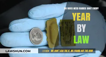 Are Annual Rabies Vaccines Legally Required for Dogs? Find Out