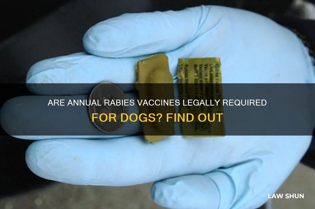 do dogs need rabies shot every year by law