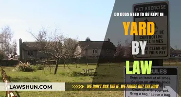 Legal Requirements for Keeping Dogs in Yards: What You Need to Know