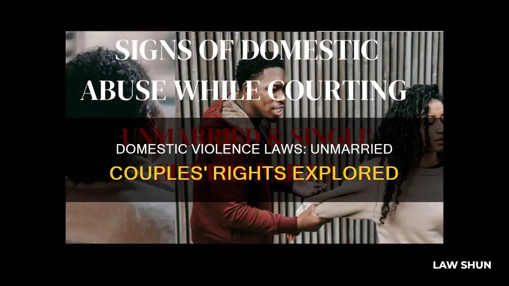 do domestic violence laws apply to unmarried couples