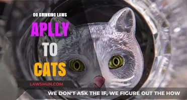 Feline Libations: Do Drinking Laws Purr-tain to Cats?