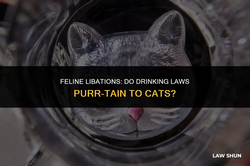 do drinking laws aplly to cats