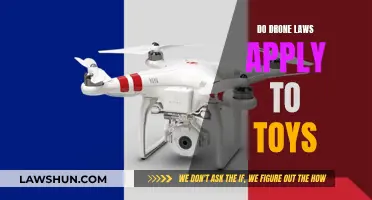 Drone Laws and Toy Drones: What's the Verdict?