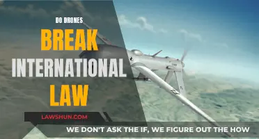 Drones and International Law: Friend or Foe?