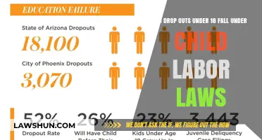Under 18 Dropouts: Are They Protected by Child Labor Laws?