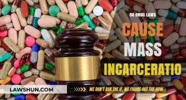 The Impact of Drug Laws on Mass Incarceration: A Critical Analysis