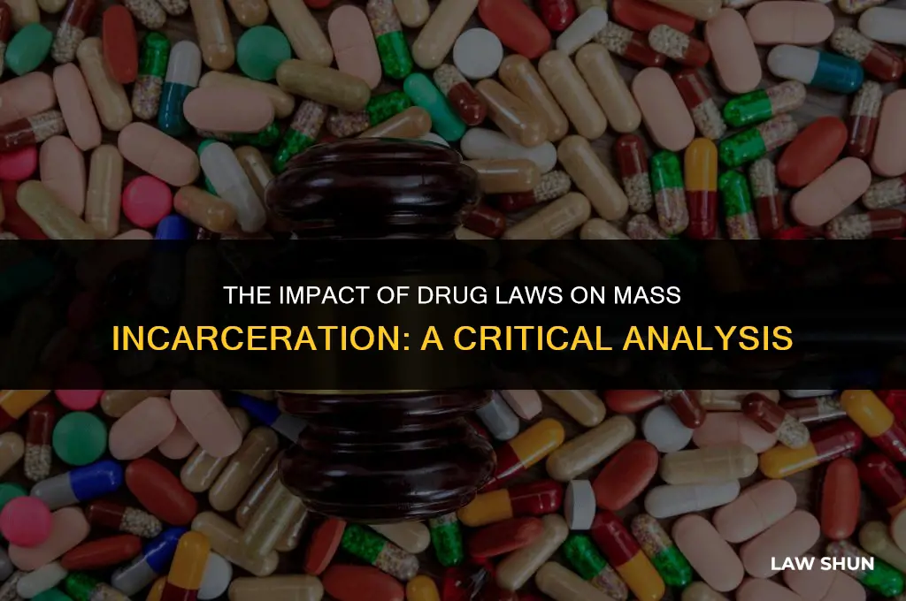 do drug laws cause mass incarceration