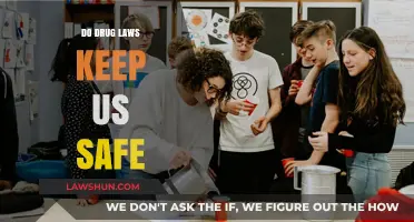 Do Drug Laws Keep Us Safe: A Critical Examination