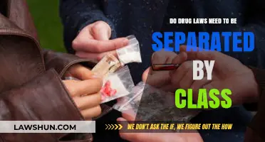 Should Drug Laws Differentiate by Class? A Critical Analysis