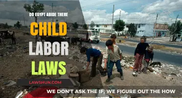 Egypt's Child Labor Laws: Compliance, Challenges, and Realities Explored