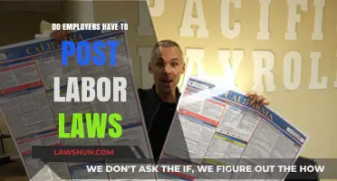 Do Employers Need to Display Labor Laws? Legal Insights