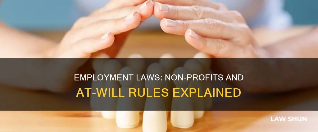 do employment at will laws apply to non profits