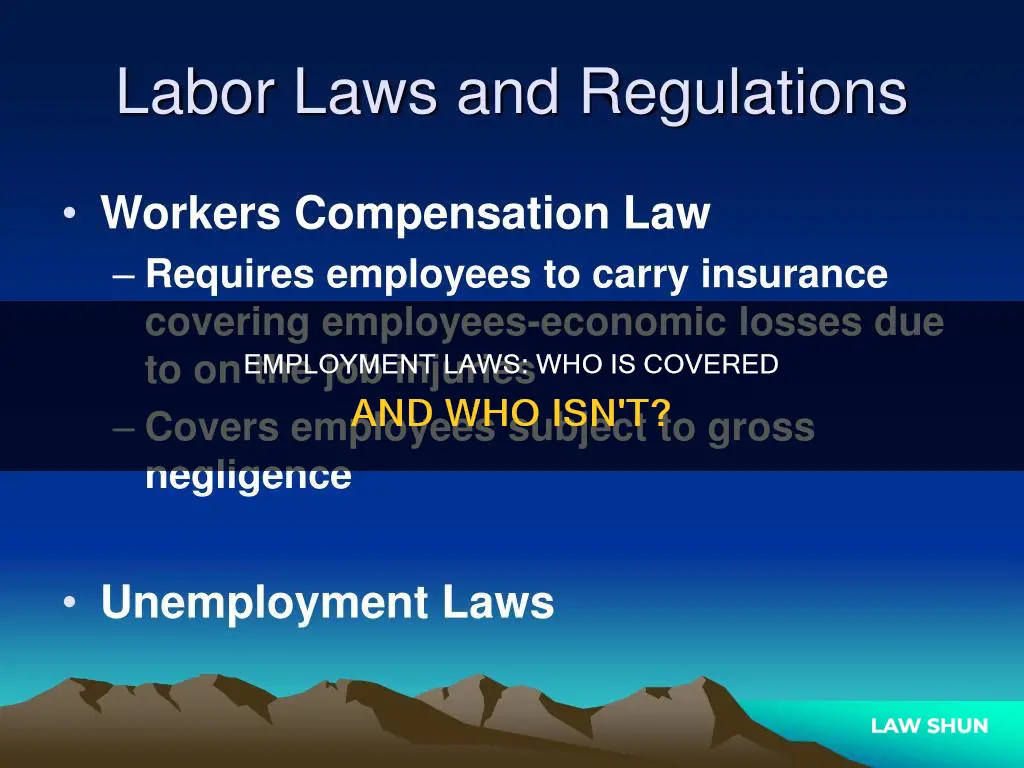 do employment laws apply to all workers