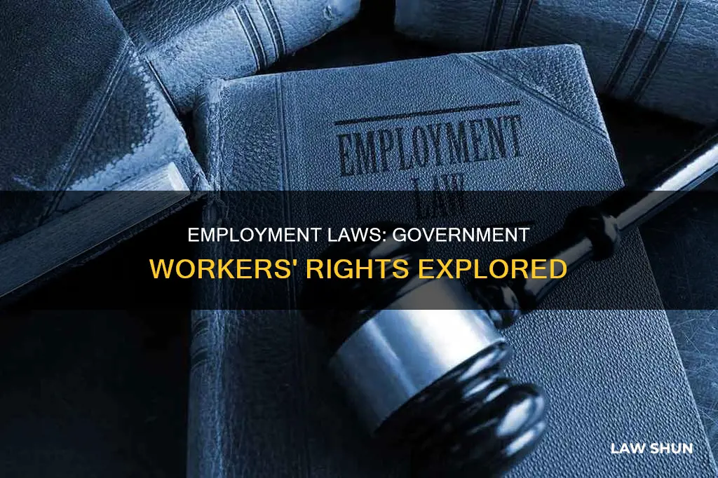 do employment laws apply to government employees