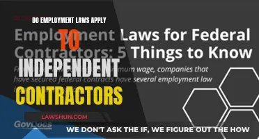 Employment Laws: Contractors' Rights and Legal Protections