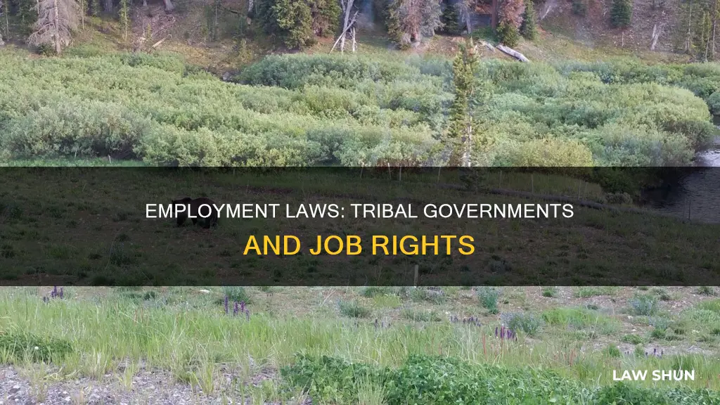 do employment laws apply to tribal government jobs