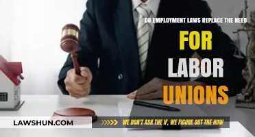 Employment Laws vs. Labor Unions: Do Legal Protections Suffice for Workers?