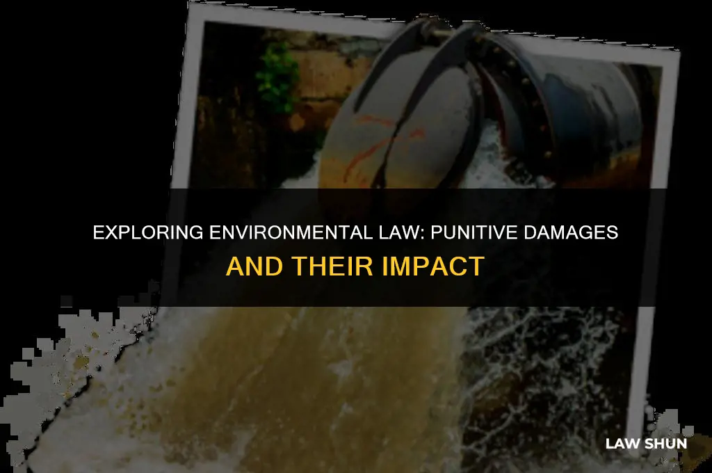 do envirmental law allow punitive damages